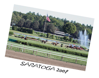 Saratoga 2008