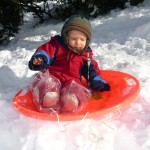 Sledding in the park