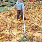 Raking