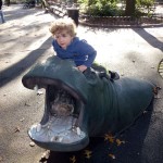 Hippo Playground