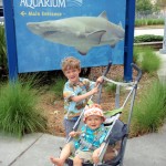 Headed to the aquarium