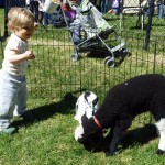 Easter petting zoo