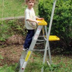 Helping in the yard