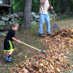 Leaf Pile