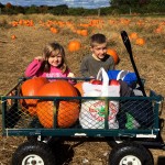 Wagon Load