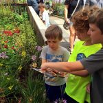 Butterfly Exhibit