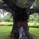 Bedford Oak