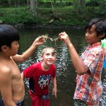 Dueling Crayfish