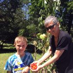 Tomatoes and Nonna