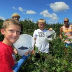 Blueberry Patch