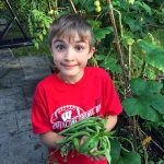 Vegetable Harvest