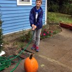 Polishing the Pumpkin