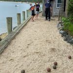 Beach Bocce