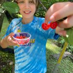 Picking Cherries