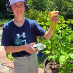 Picking Peppers