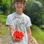 Bowl of Cherries