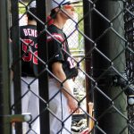 In the Dugout